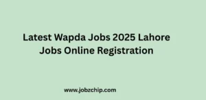 Latest Wapda Jobs 2025 Lahore Jobs Online Registration
