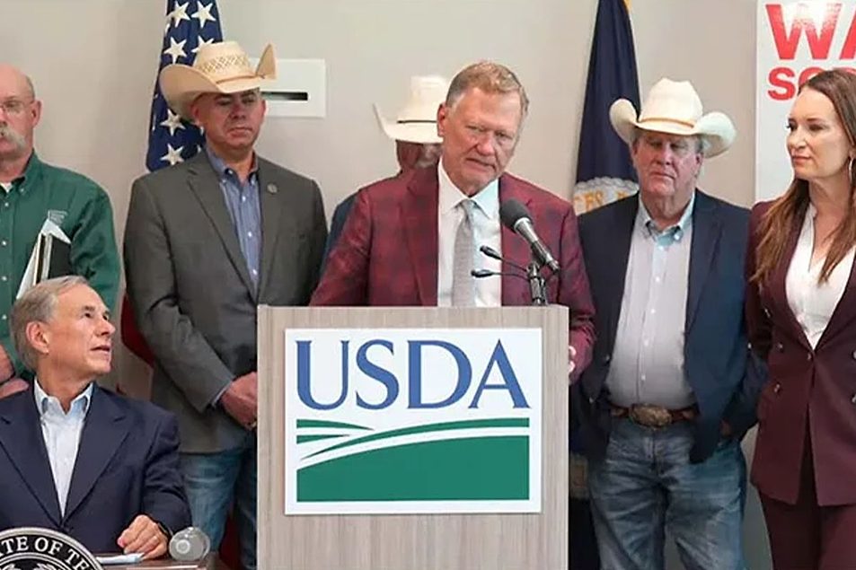 USDA to combat New World screwworm with senior advisor
