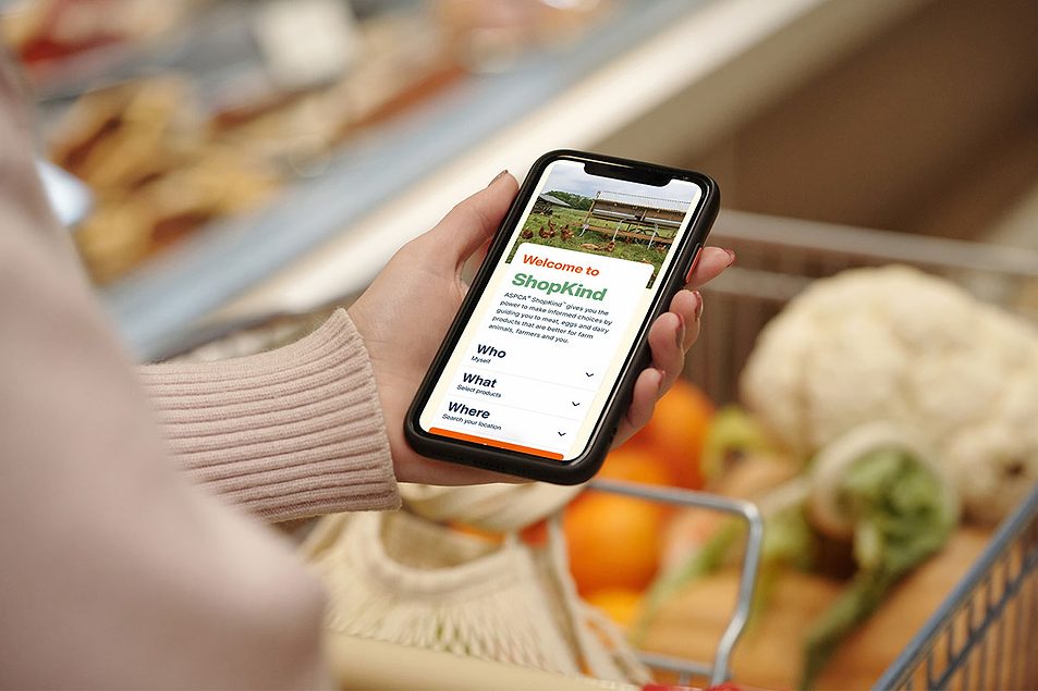 ASPCA debuts ShopKind program, showcasing humanely raised food, pet food