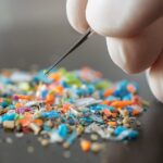 Study finds microplastics in 76% of tested commercial pet food