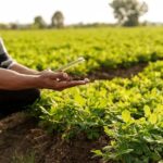 Trump administration initiates regenerative ag effort