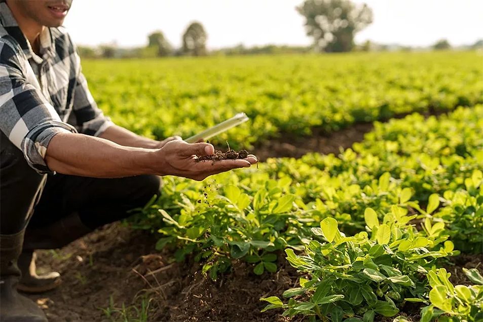 Trump administration initiates regenerative ag effort