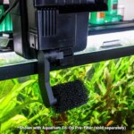 Pre Filters: How One Small Hack Transformed the Aquarium Hobby!