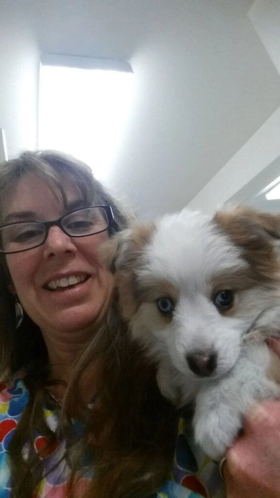 Confessions of a Vet Tech: The “Medical Mystery” That’s Usually Just a
