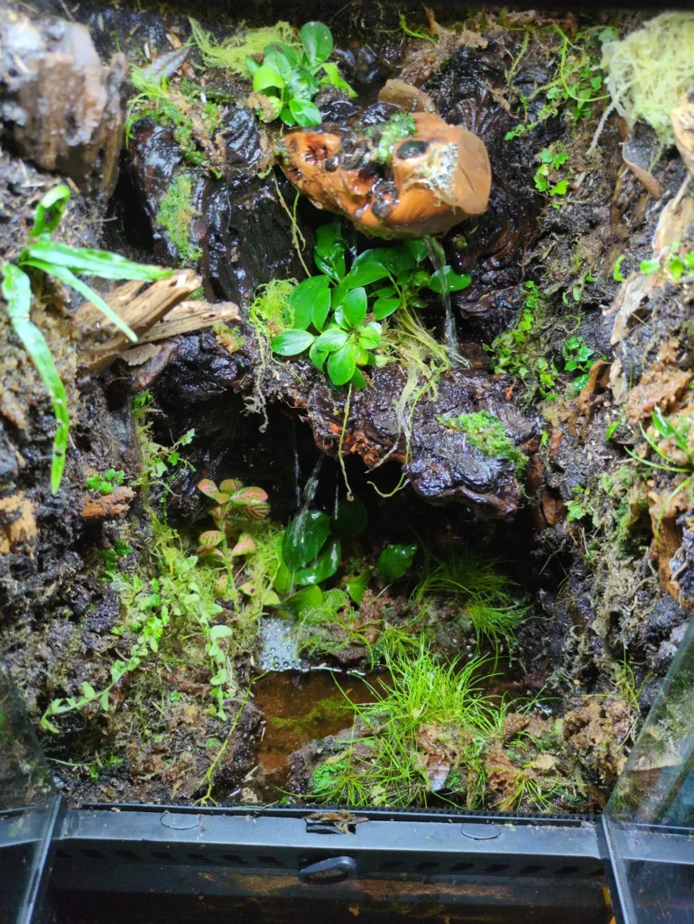 Which species would enjoy? Pics attached