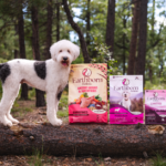 Switching Dog Food Flavors Safely: A Simple Guide for Pet Owners