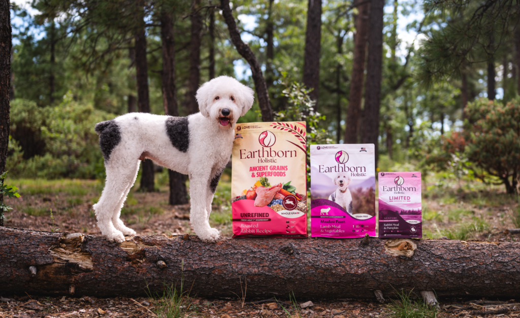 Switching Dog Food Flavors Safely: A Simple Guide for Pet Owners