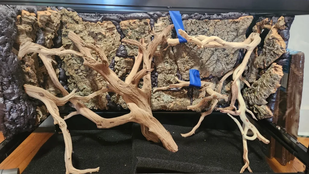 Wood placement for auratus