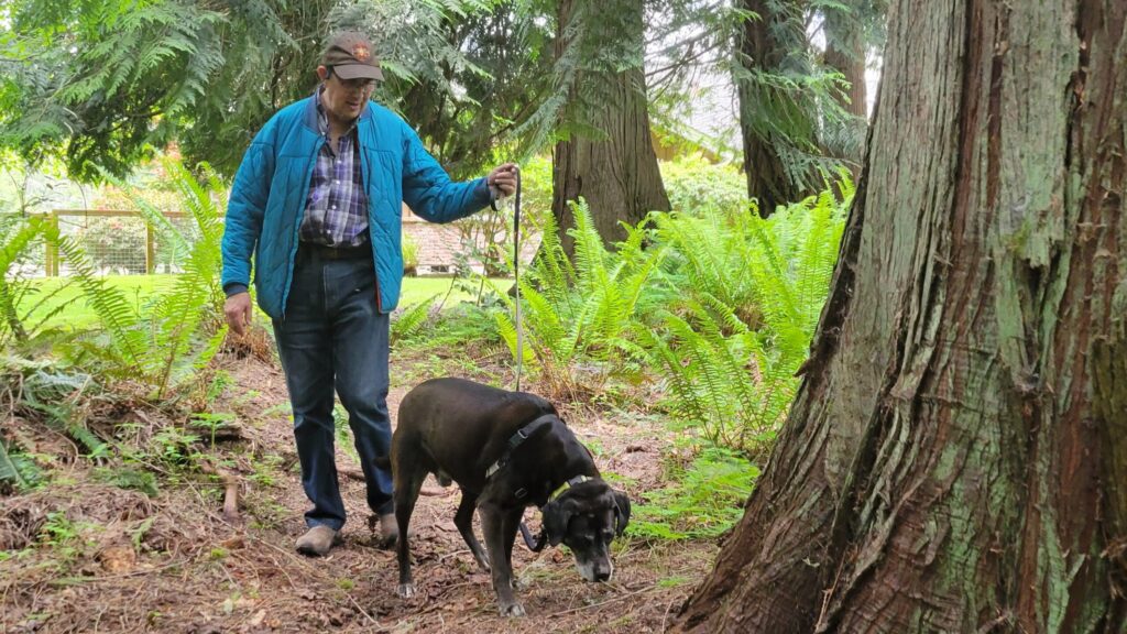 Is Choice Really an Option in Animal Training?