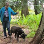 Is Choice Really an Option in Animal Training?