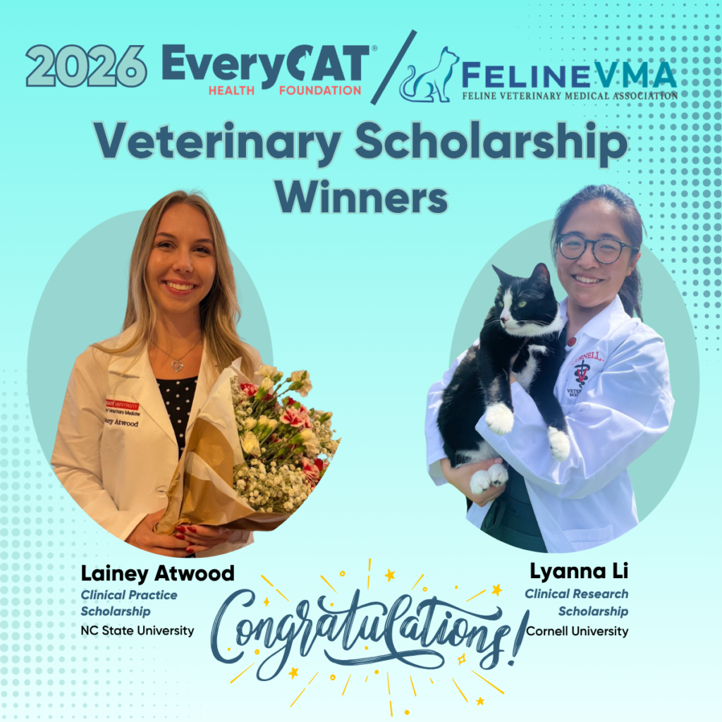 2026 EveryCat Health Foundation/FelineVMA Scholarship Winners