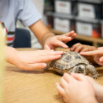 Funding for Classroom Pets Available to Teachers for Upcoming School Year