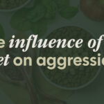 Aggressive Dogs: The Protein Problem
