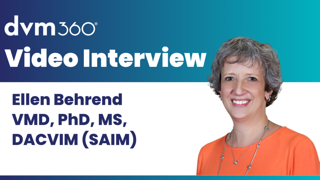 How SGLT2 inhibitors are changing feline diabetes management