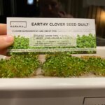 Sprouting 101