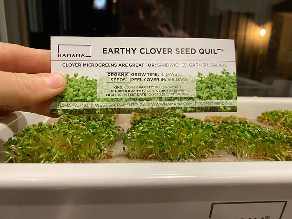 Sprouting 101