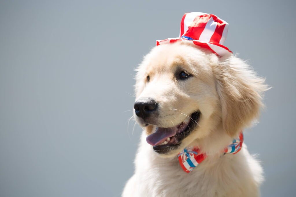 The Ultimate Pet Fireworks Safety Guide