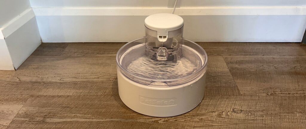 PetSafe Outlast Pumpless Cat Water Fountain: My honest review