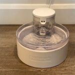 PetSafe Outlast Pumpless Cat Water Fountain: My honest review