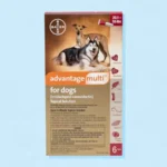 What is the best over the counter flea and tick treatment for dogs? Get Your Pet Thinking – KeepingDog