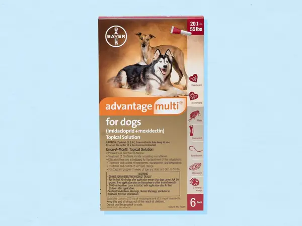 What is the best over the counter flea and tick treatment for dogs? Get Your Pet Thinking – KeepingDog