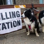 Dogs Show Up to UK Local Elections 2026, and Honestly, They Deserved a Vote
