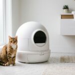 Litter-Robot 4 vs 5: Real Differences (Plus EVO + 5 Pro)