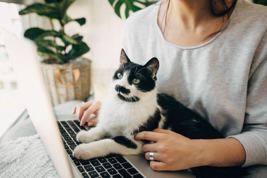 Wrap up: The pet insurance gap persists even as enrollment grows, and other news