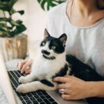 Wrap up: The pet insurance gap persists even as enrollment grows, and other news