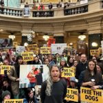 Free the Dogs: Hundreds of Protesters Storm Wisconsin Capitol Demanding Release of 2,000 Beagles From Research Facility |