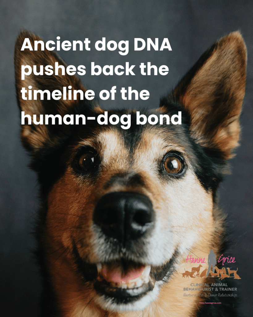 Ancient DNA places dogs in human societies earlier than expected