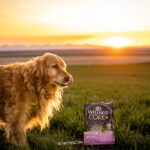 How Omega-Rich Diets Protect Your Dog’s Skin Health