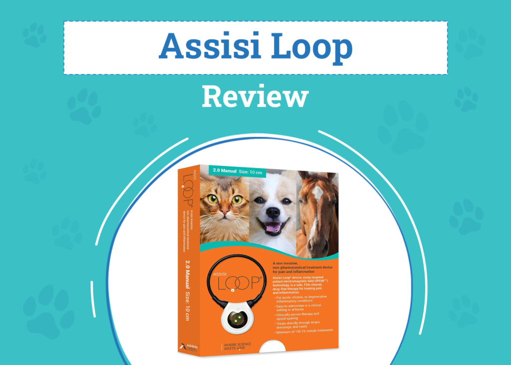 Assisi Loop for Dogs Review (2026): Pros, Cons, & Verdict — Dogster