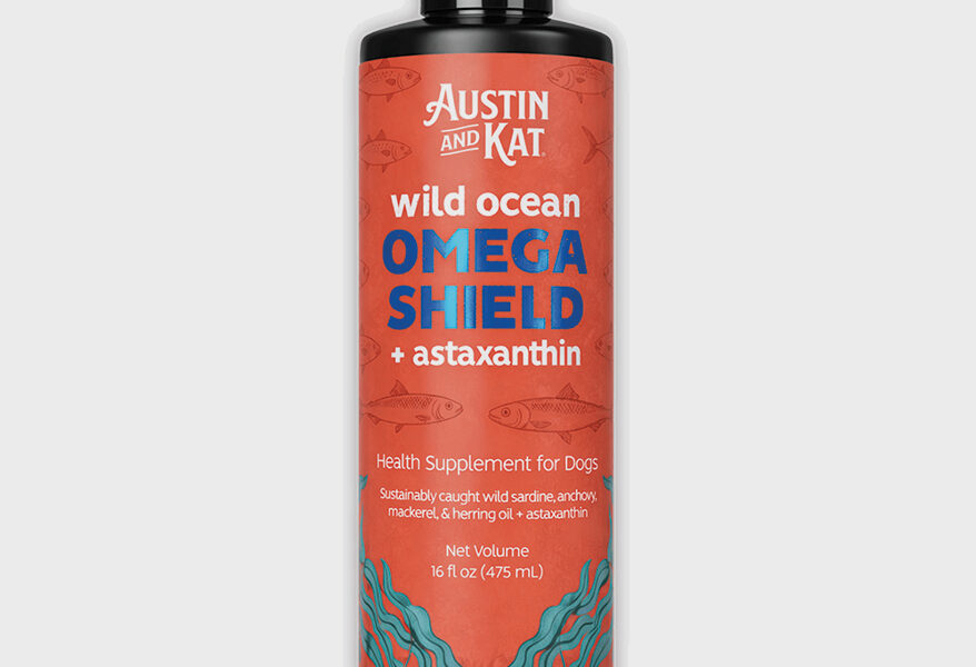 A Slow Feeder for Cats, Leash Sleeves for Reactive Dogs and More New Products