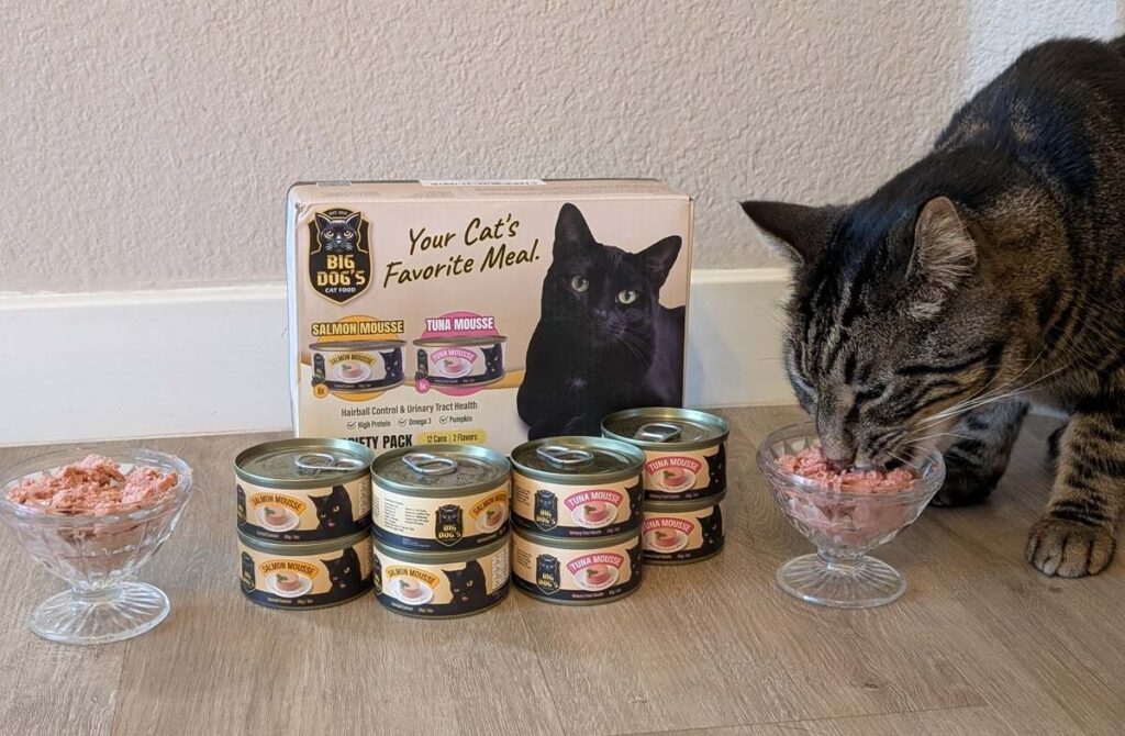 Big Dog’s Cat Food Review