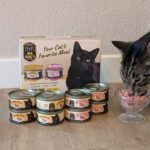 Big Dog’s Cat Food Review