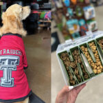 Bust RAWgust Myths and More Aug-Sep Promo Ideas for Pet Indies