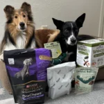 The Best Dog Dental Chews