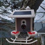 Bird Feeder with Camera: Meet the Gigalumi Smart Bird Feeder