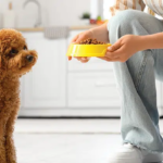 Communicating With Clients About Nutritional Management of Canine Uroliths