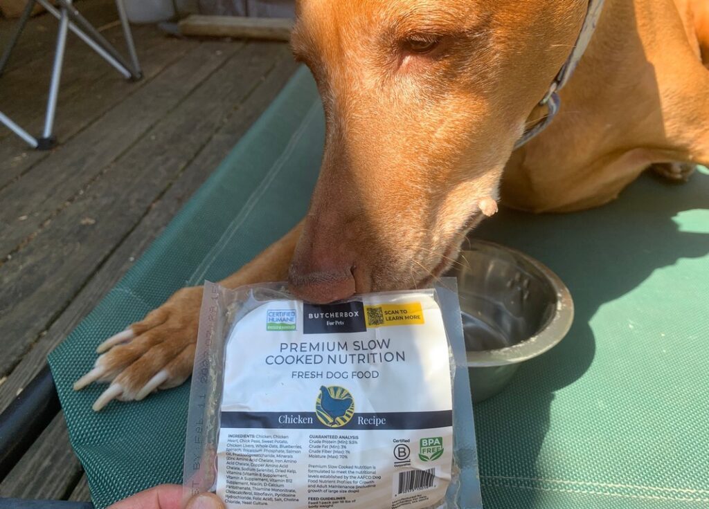 ButcherBox For Pets Is Now DASH Dog Food, But the Recipe Stays the Same