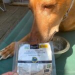 ButcherBox For Pets Is Now DASH Dog Food, But the Recipe Stays the Same