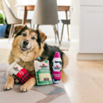 Play Pet Brands, Cabot Creamery Expand Partnership of Food Inspired Dog Toy Line