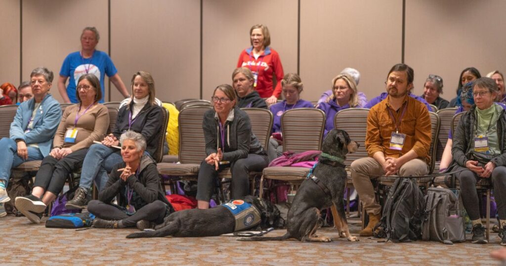 Overcoming Nervousness for Dog Trainers: A Guide