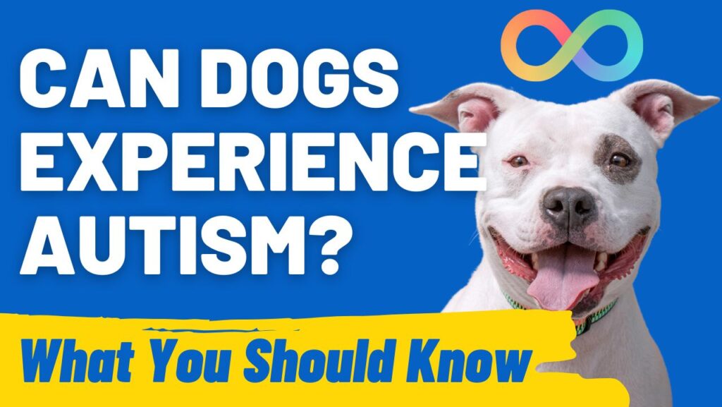 Can Dogs Have Autism? Exploring Canine Autism Realities