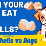 Can Dogs Eat Egg Shells? Unveiling Diet Myths and Facts