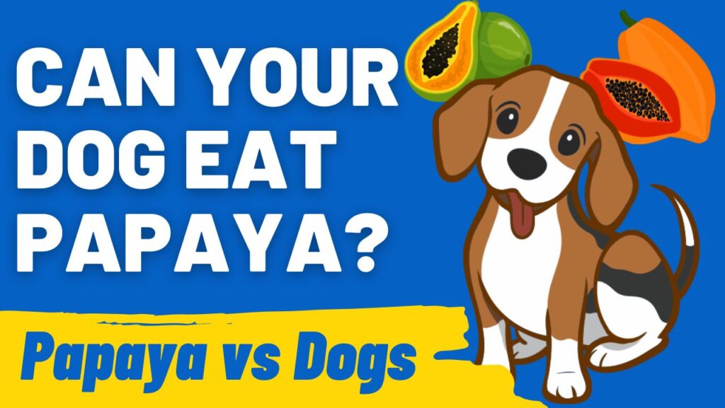 Can Dogs Eat Papaya? Discover Safe Tropical Treats