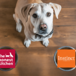 The Honest Kitchen vs. Instinct: Who Wins? [2026]