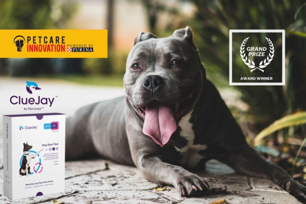 PCIP 2021 Grand Prize Winner Selected Virtually During Global Pet Expo