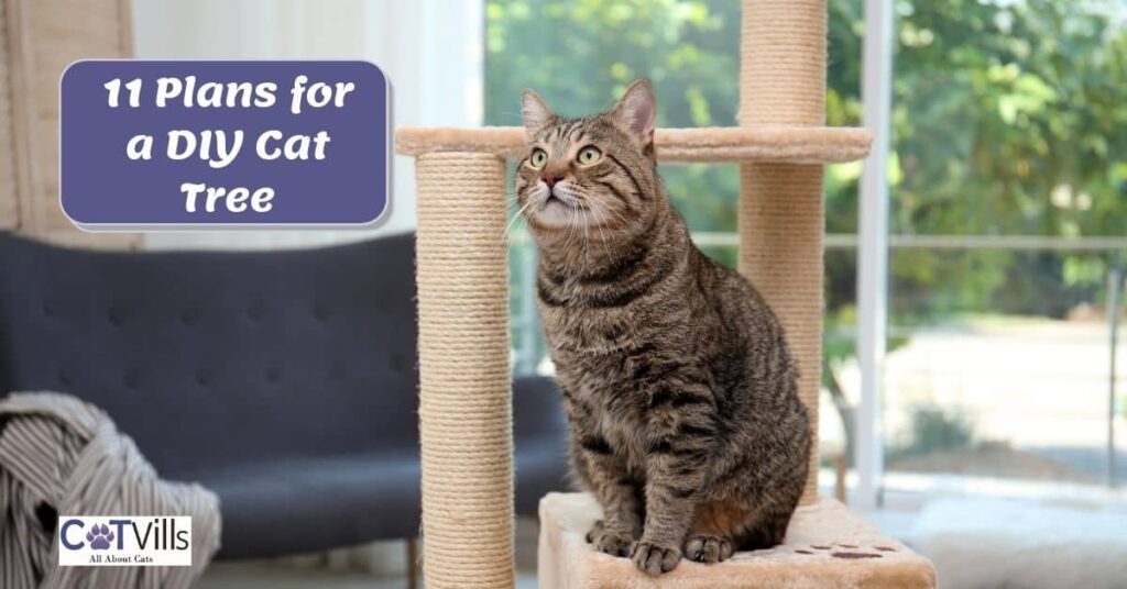 DIY Cat Tree: 11 Cool Plans For Happy Cats